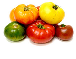 Beefsteak Tomatoes - Policella Farms