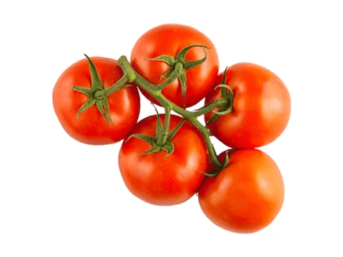 Tomatoes on the Vine